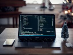 Programming Languages